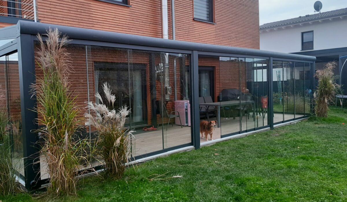 WhatsApp Image 2026-02-03 at 21.03.16