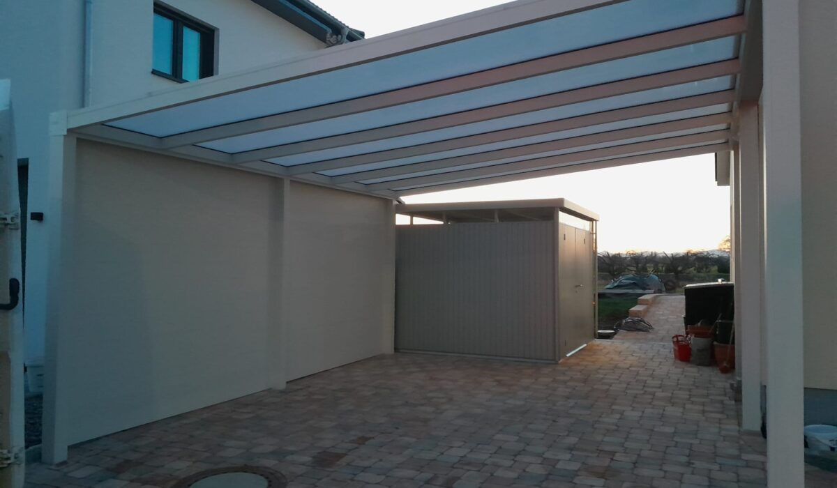 WhatsApp Image 2026-02-03 at 21.03.17