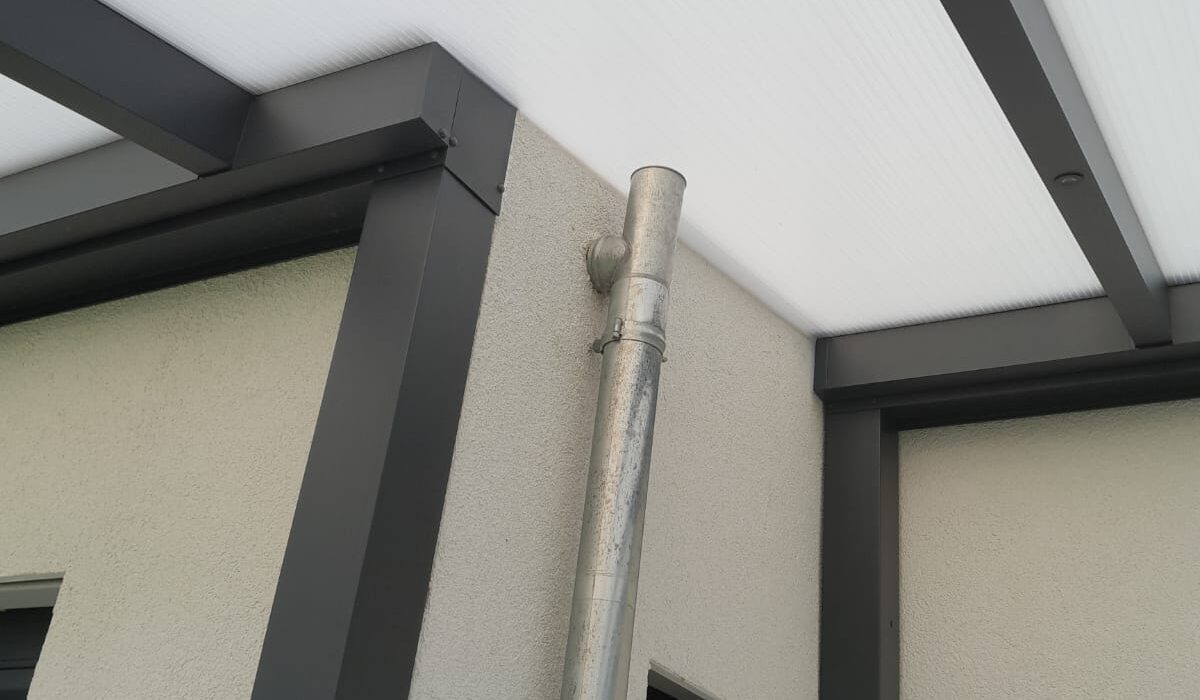 WhatsApp Image 2026-02-03 at 21.36.51